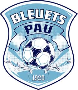Bleuets Notre Dame de Pau