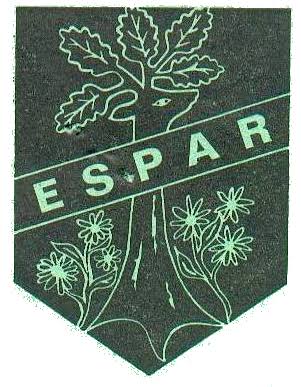 ESP Saint-Amand-Raismes