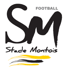 ES Mont-de-Marsan