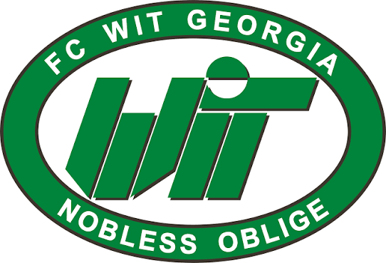 Logo WIT Georgia